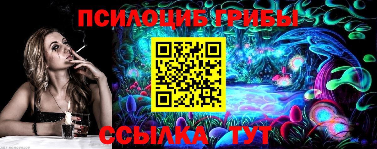 Галлюциногенные грибы Psilocybine cubensis Коммунар